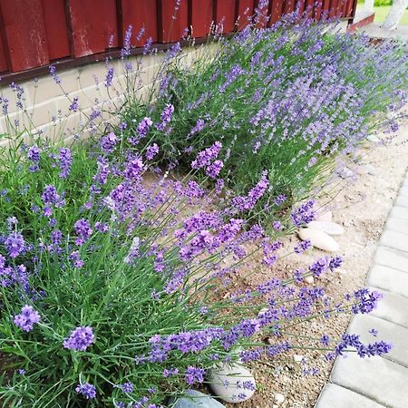 9 Min From Palanga! Luxury House On The River And Sauna Kretinga Eksteriør billede